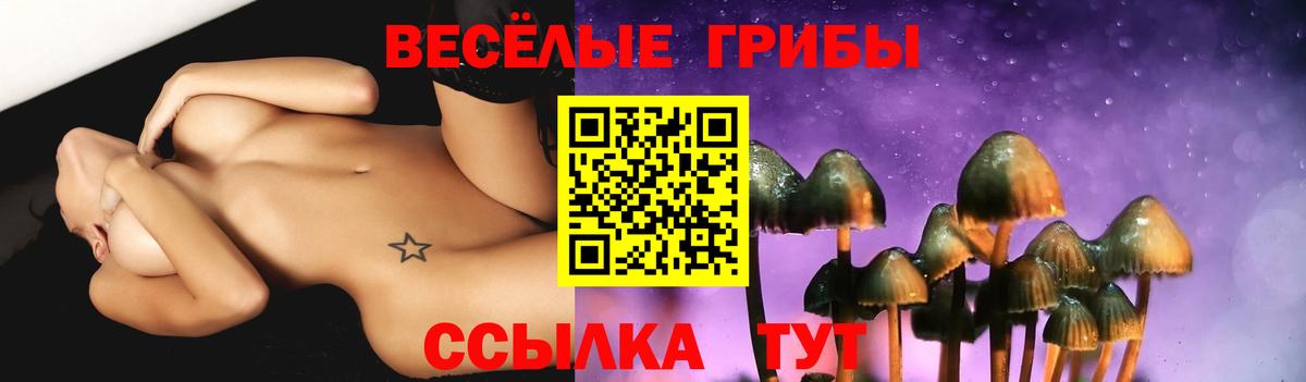 Галлюциногенные грибы GOLDEN TEACHER  Галлюциногенные грибы Magic Shrooms  Вход с VPN  Карачаевск 